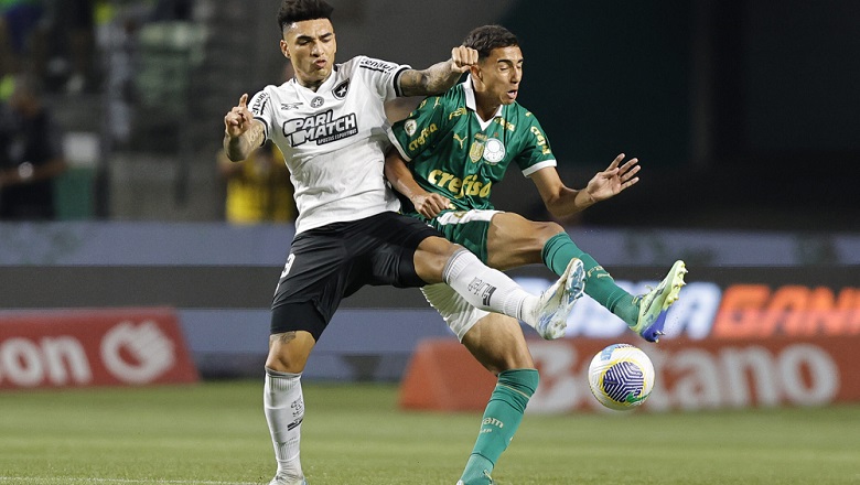 Nhận định Palmeiras vs Botafogo, FIFA Club World Cup, lực lượng, đội hình dự kiến - Ảnh 1, trang chủ 123b, 123b, link vào 123b